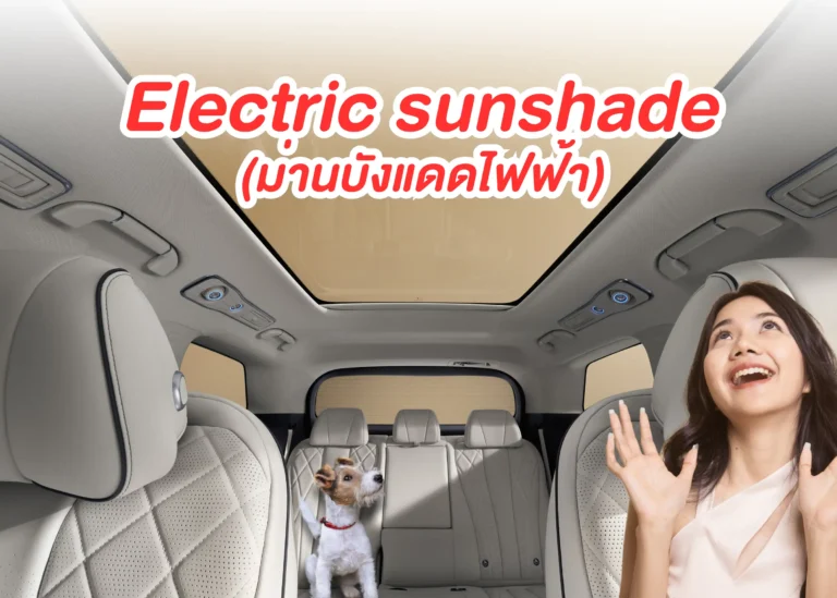 electric-sunshade-cover