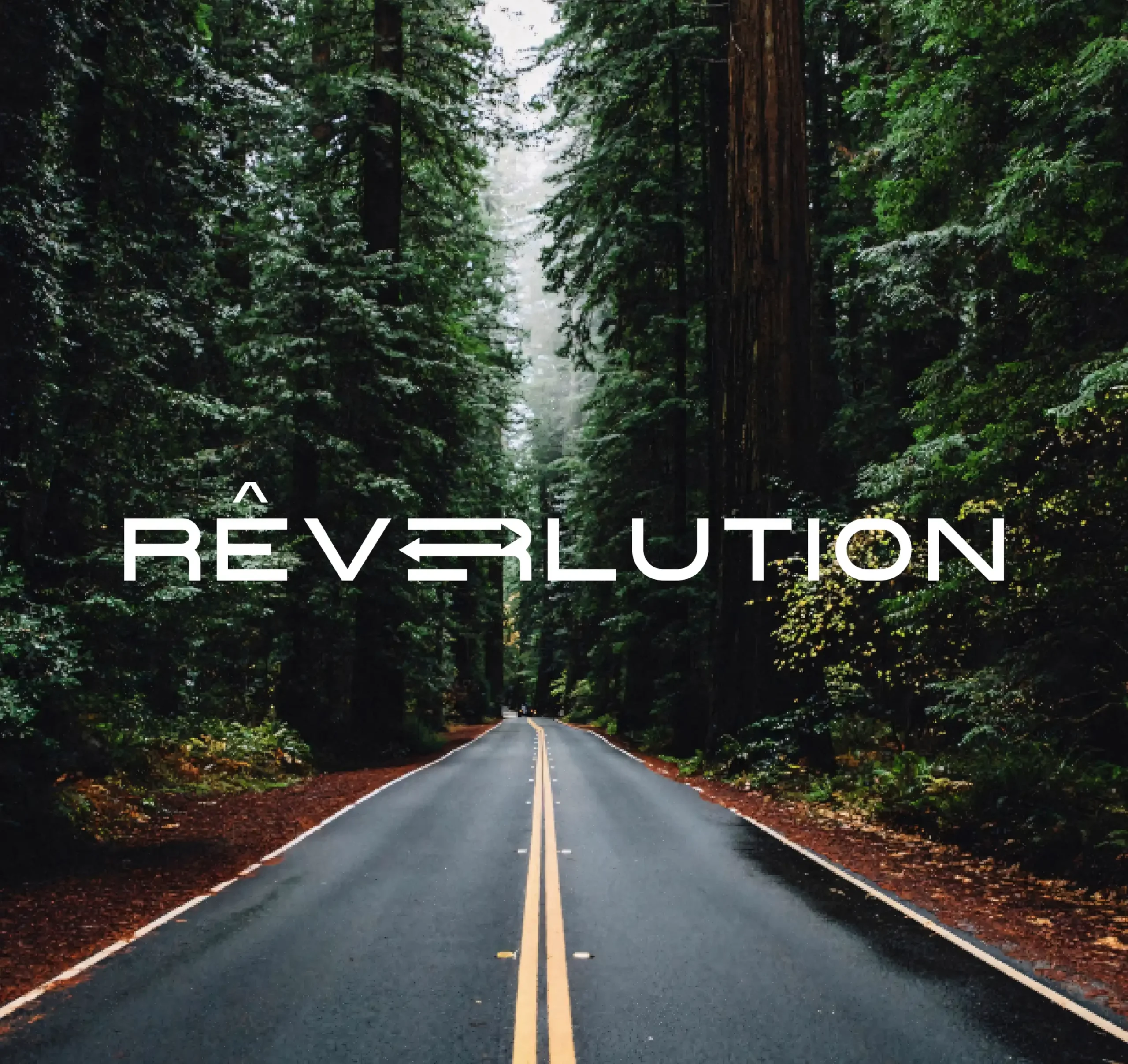 Rever Automotive คืออะไร? ผู้นำรถยนต์ไฟฟ้า BYD ในประเทศไทย 7 Rever Automotive คืออะไร? ผู้นำรถยนต์ไฟฟ้า BYD ในประเทศไทย