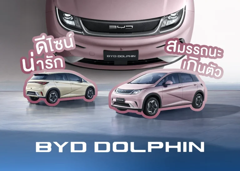 BYD Dolphin cute-cover (Web H)