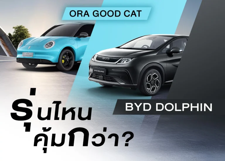 Dolphin VS ORA Good Cat-cover (Web H)