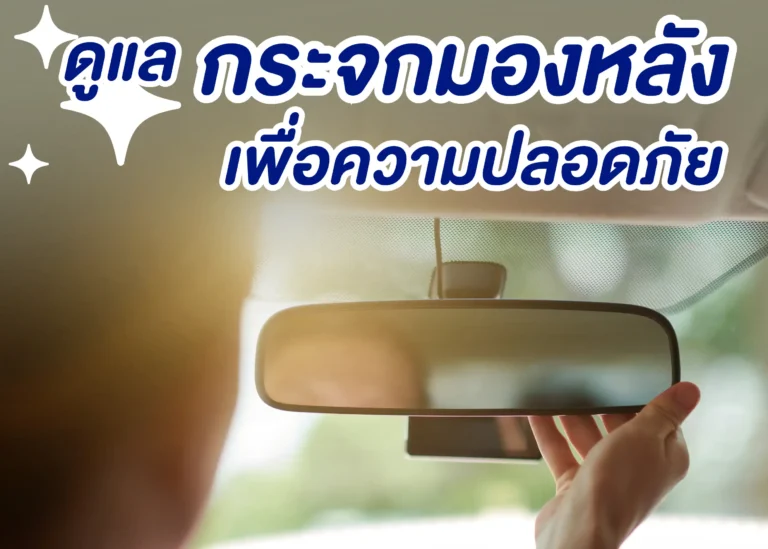 rearview-mirror-cover (Web H)